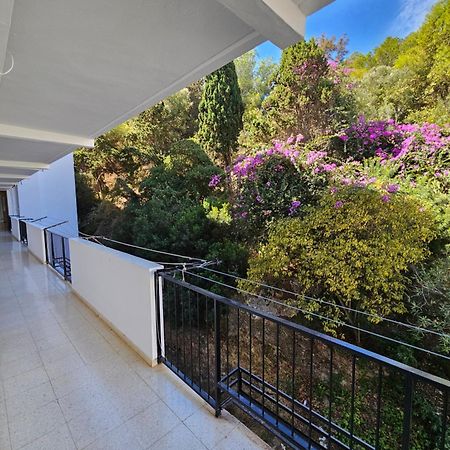 Apartamento Florido توريمولينوس المظهر الخارجي الصورة